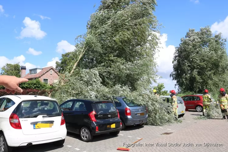 Boom valt op auto&#39;s in Kortenhoef