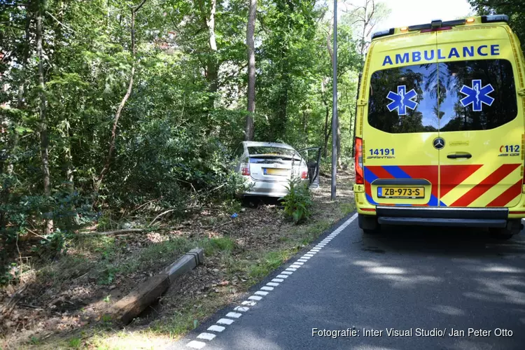 Automobilist botst tegen boom