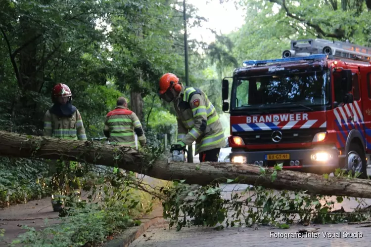 Naarderweg enige tijd afgesloten door boom over de weg