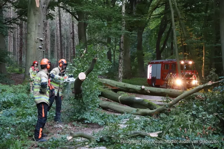 Grote boom blokkeert fietspad tussen Bussum en Huizen