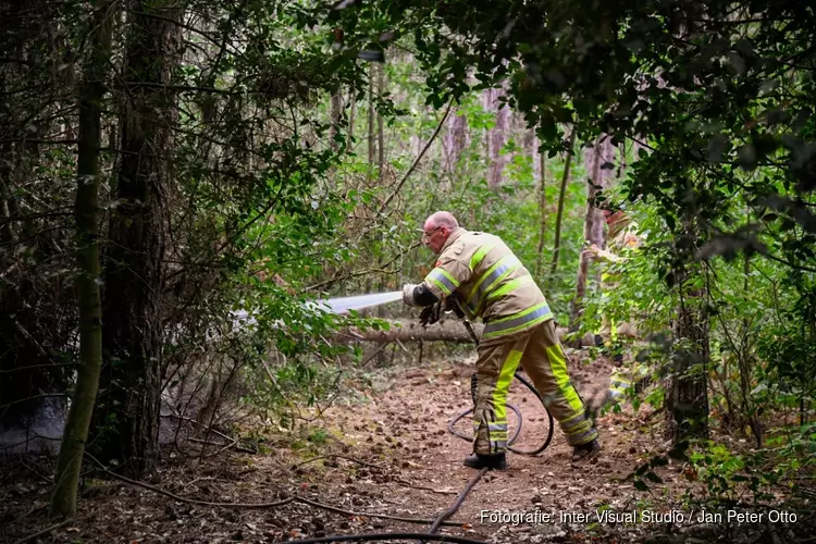 Brandweer snel ter plaatse bij bosbrandje