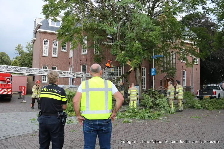 Grote arm breekt uit boom in Bussum