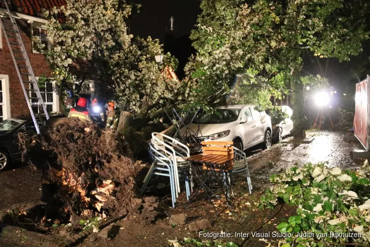 Grote boom belandt op meerdere auto&#39;s in Naarden