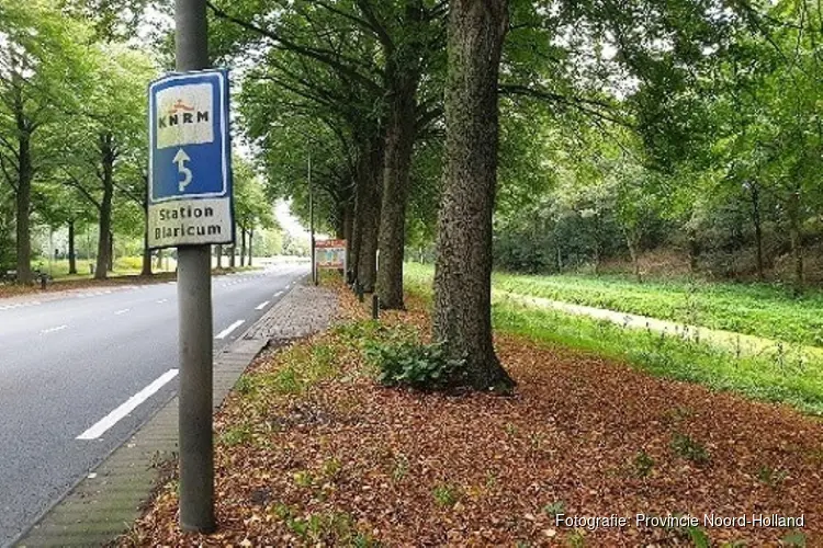 Onrust over bomen in Blaricum